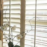 keeping shutters clean Gallery of Shades