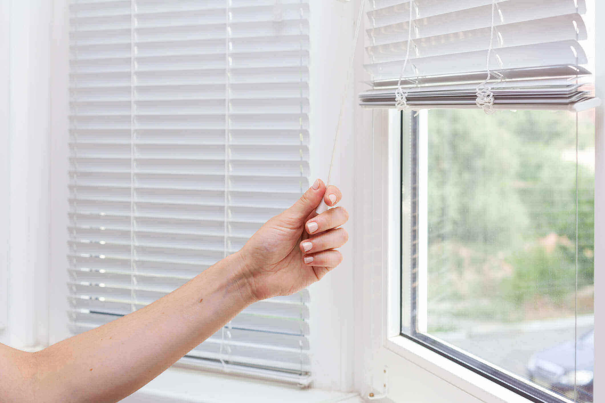 The Best Blinds for Privacy
